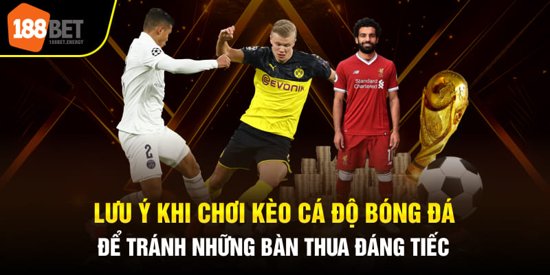 Cần phải đặc biệt lưu ý vài vấn đề để có trải nghiệm kèo cá độ bóng đá tốt nhất